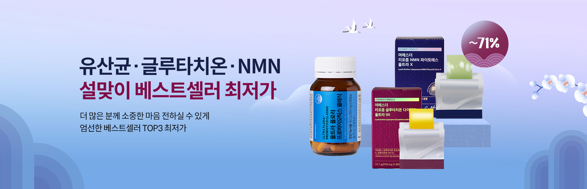 설 얼리버드 - 베스트셀러