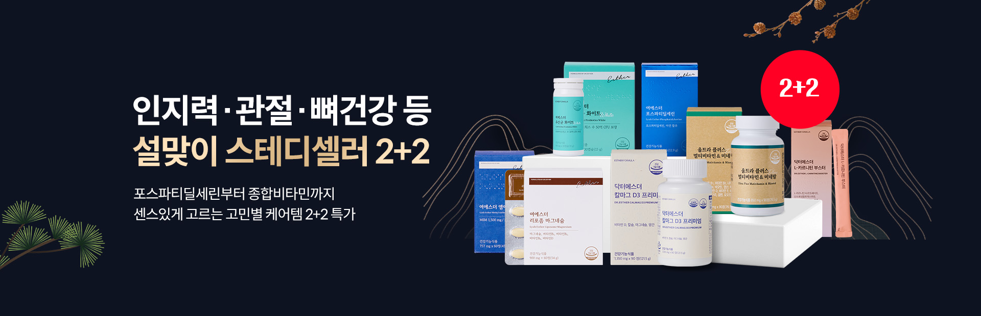 설 얼리버드 - 2+2